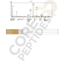 IGF 1 LR3 1MG MS 1.jpg